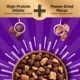 Product Wellness CORE+ Sensitive Skin & Stomach Adult Dry Dog Food - Salmon & Rice
