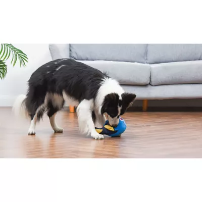 Product Dory Squeaker Crinkle Plush Dog Toy