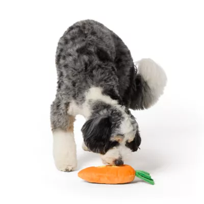 Product Joyhound® Carrot Treat Dispensing Squeaker Plush Dog Toy