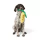 Product Joyhound® Corn Treat Dispensing Plush Dog Toy