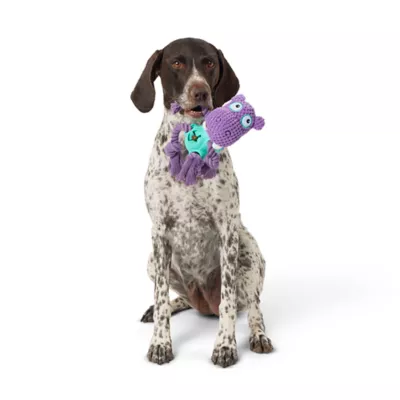 Product Joyhound® Hippo Treat Dispensing Rope Dog Toy