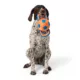 Product Joyhound® Game On Tug Ball w/Handles Dog Toy