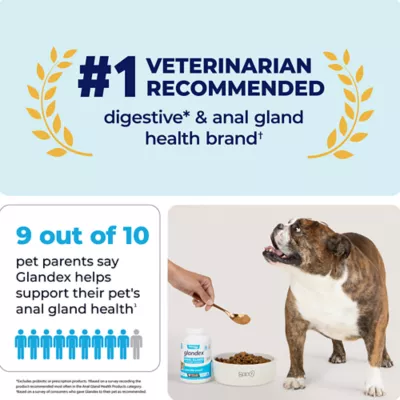 Product Glandex® boot the scoot!™ Anal Gland Support Powder for Dogs - Pork Liver, 5.5oz