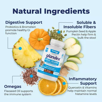 Product Glandex® boot the scoot!™ Anal Gland Support Powder for Dogs - Pork Liver, 5.5oz