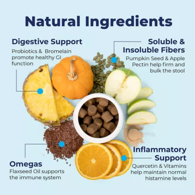 Product Glandex® boot the scoot!™ Anal Gland Health Soft Chews for Dogs - Peanut Butter, 60 count