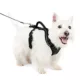 Product PetSafe® EasySport Nylon Reflective Dog Harness