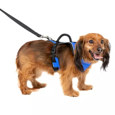 Product PetSafe® EasySport Nylon Reflective Dog Harness