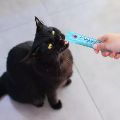 Product Weruva Puddy Pops Lickable Cat Treat - 5 CT, 2.5 OZ