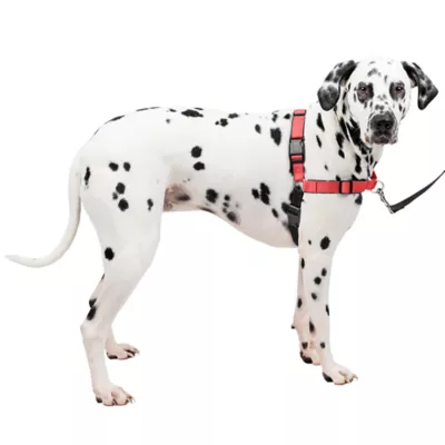 Product PetSafe® Easy Walk Deluxe Dog Harness - No Pull Dog Harness