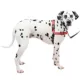 Product PetSafe® Easy Walk Deluxe Dog Harness - No Pull Dog Harness