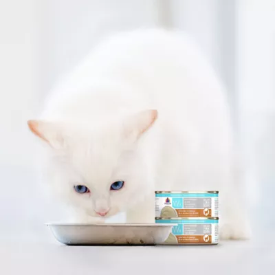 Product Weruva WX Wet Cat Food - Phos Focused, Shreds in Gravy, 5.5 OZ