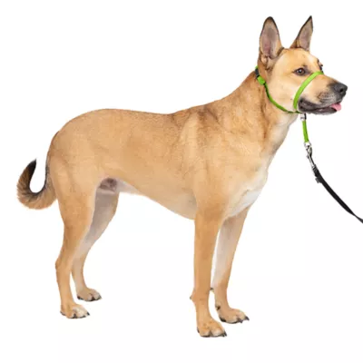Product PetSafe® Gentle Leader Nylon Dog Headcollar