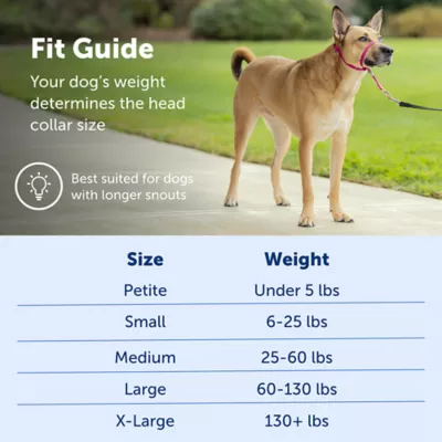 Product PetSafe® Gentle Leader Nylon Dog Headcollar