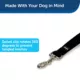 Product PetSafe®  Nylon Dog Leash, 6 Ft