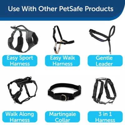 Product PetSafe®  Nylon Dog Leash, 6 Ft