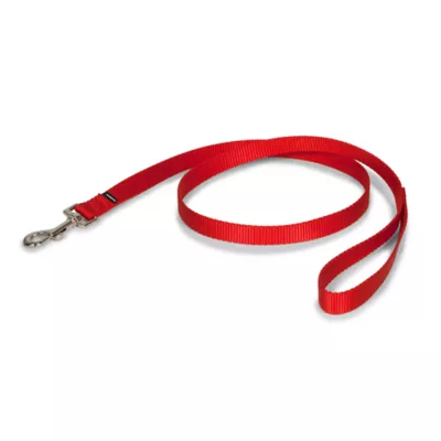 Product PetSafe® Nylon Dog Leash, 4 Ft