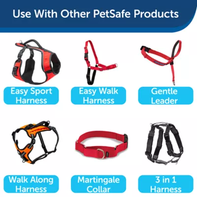 Product PetSafe® Nylon Dog Leash, 4 Ft