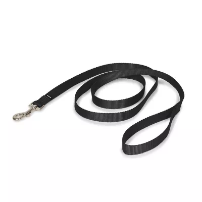 Product PetSafe®  Nylon Dog Leash, 6 Ft