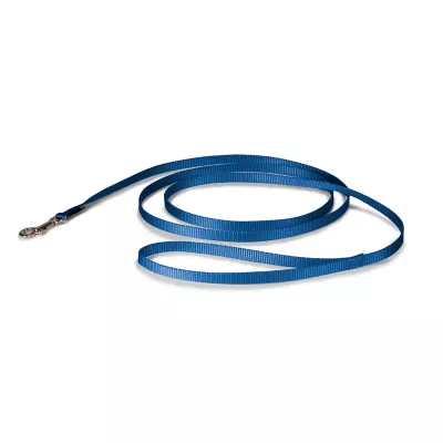 Product PetSafe®  Nylon Dog Leash, 6 Ft