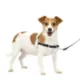 Product PetSafe® Easy Walk Harness, No Pull Dog Harness