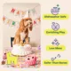 Product WOOF Birthday Pupsicle Treat Dispensing Dog Toy
