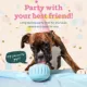 Product WOOF Birthday Pupsicle Treat Dispensing Dog Toy