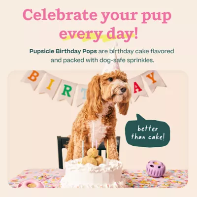 Product WOOF Birthday Pupsicle Pops