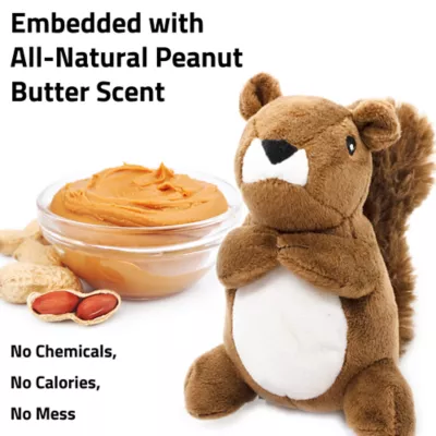 Product Playology Squirrel Peanut Butter Scent Plush Dog Toy