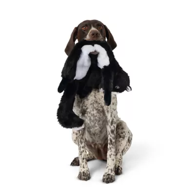 Product Joyhound® Crazy Comfy Flattie Skunk Squeaker Crinkle Plush Dog Toy