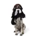 Product Joyhound® Crazy Comfy Flattie Skunk Squeaker Crinkle Plush Dog Toy