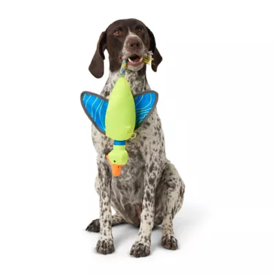 Product Joyhound® Slingshot Launcher Duck Dog Toy