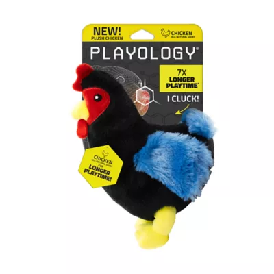 Product Playology Clucking Hen Chicken Scent Plush Dog Toy