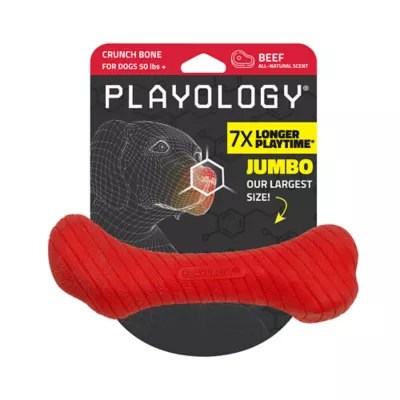 Product Playology Crunch Bone Dog Toy
