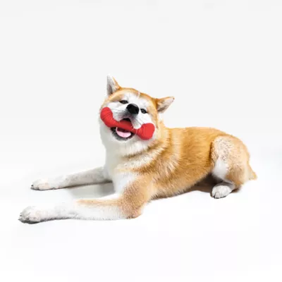 Product Playology Crunch Bone Dog Toy