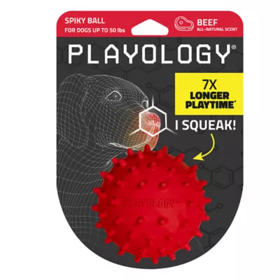 Product Playology Spiky Squeaky Beef Scent Ball Dog Toy