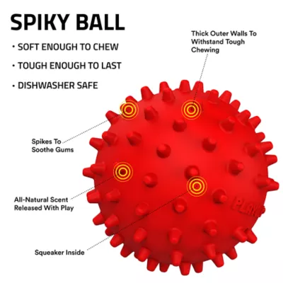 Product Playology Spiky Squeaky Beef Scent Ball Dog Toy