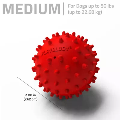 Product Playology Spiky Squeaky Beef Scent Ball Dog Toy