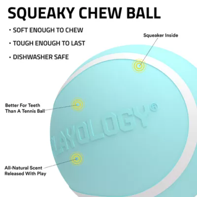 Product Playology Squeaker Chew Ball Peanut Butter Scent Dog Toy 3-Pack