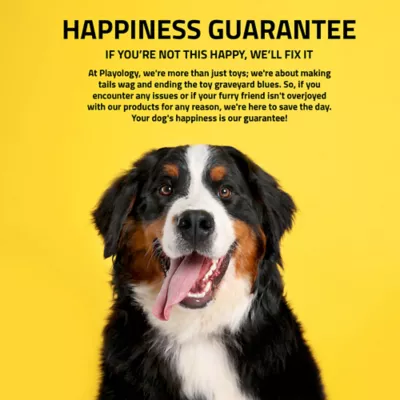 Product Playology Squeaker Chew Ball Peanut Butter Scent Dog Toy 3-Pack