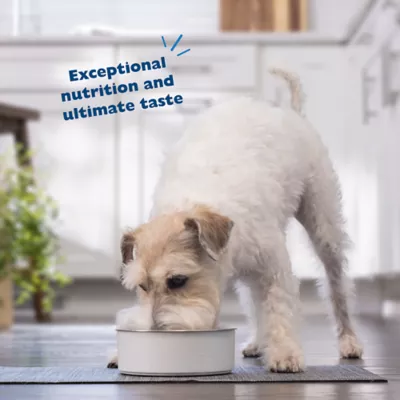 Product Bil-Jac Sensitive Solutions Skin & Stomach Support Adult Wet Dog Food - Chicken & Sweet Potato