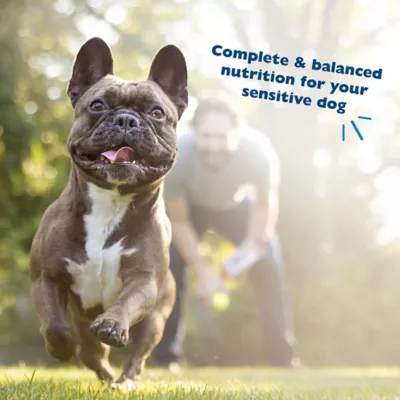 Product Bil-Jac Sensitive Solutions Digestive & Immune Support Adult Wet Dog Food - Turkey & Pumpkin
