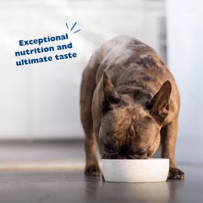Product Bil-Jac Sensitive Solutions Digestive & Immune Support Adult Wet Dog Food - Turkey & Pumpkin