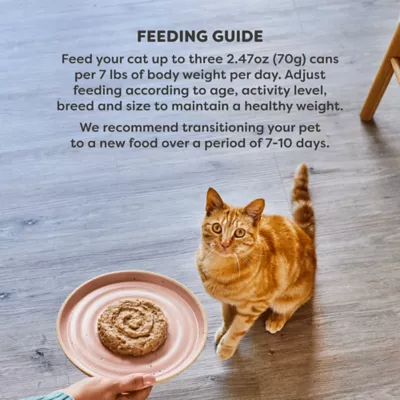 Product Applaws Cat - Adult, Wet Food, Vitality, Pate, Fish Selection, Variety Pack, 12 CT, 29.64 OZ