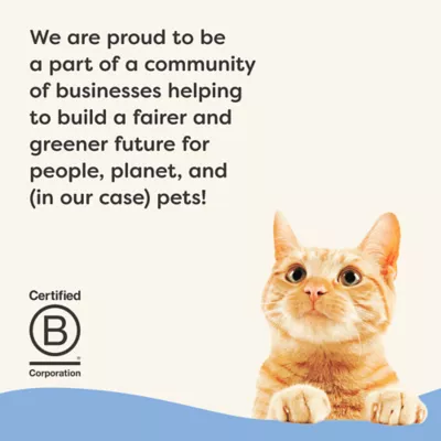 Product Applaws Cat - Adult, Wet Food, Vitality, Pate, Fish Selection, Variety Pack, 12 CT, 29.64 OZ