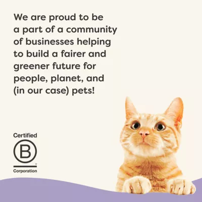 Product Applaws Cat - Adult, Wet Food, Vitality, In Broth, Variety Pack, 12 CT, 29.64 OZ