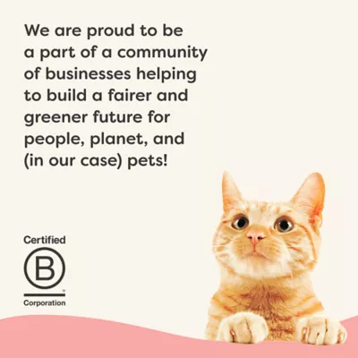 Product Applaws Vitality Adult Cat Wet Food - in Broth, 2.47 Oz