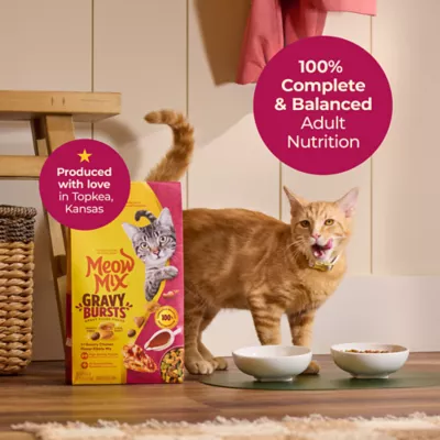 Product Meow Mix Cat - Adult, Dry Food, Gravy Bursts