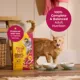 Product Meow Mix Cat - Adult, Dry Food, Gravy Bursts
