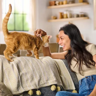 Product Meow Mix Cat - Adult, Dry Food, Gravy Bursts