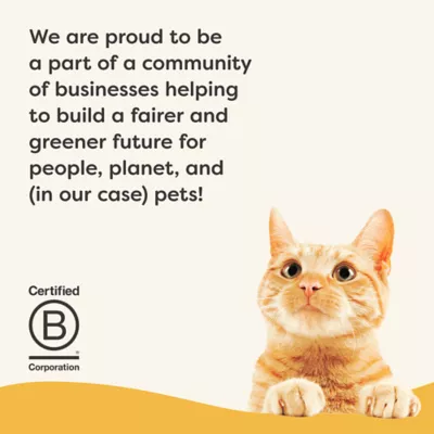 Product Applaws Cat - Adult, Wet Food, Vitality, In Broth, 5.5 OZ